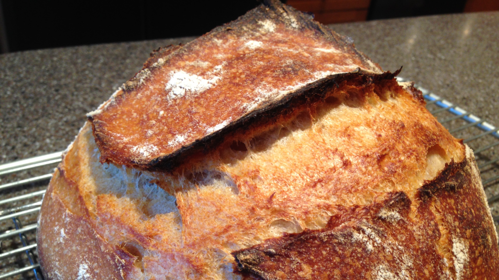 2015-01-18 bread--natural leaven